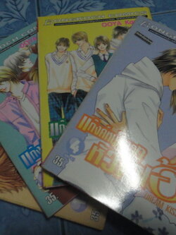 แก๊งหนุ่มฮอท หัวใจเฮ้ว เล่ม 1-4 จบ