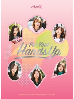APINK - PUT YOUR HANDS UP DVD(3DISC) + PHOTOBOOK