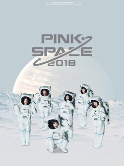 APINK PINKSPACE 2018 CONCERT BOOK - PHOTOBOOK + DVD(1DISC)