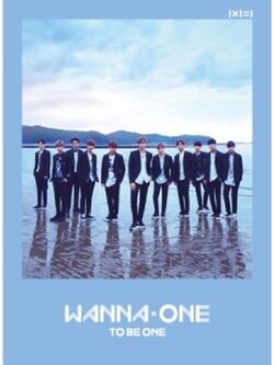 RE-STOCK PRE-WANNA ONE 1ST MINI ALBUM (SKY VERSION)
