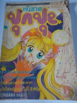 เจ้าชายปุกปุย เล่มเดียวจบ(ตามสภาพ)