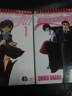 ทายาทจอมโจร 20 หน้า เล่ม 1 - 2 เล่มจบ