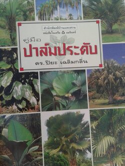 คู่มือ ปาล์มประดับ