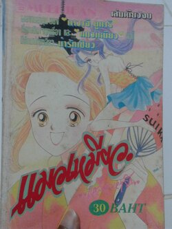 แมวเหมียวเลี้ยวหารัก เล่มเดียวจบ