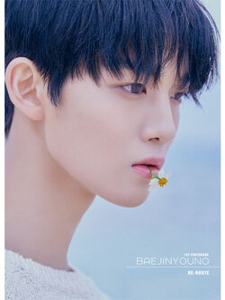 BAE JIN YOUNG THE 1ST PHOTOBOOK - RE-ROUTE