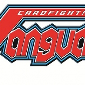 Card Fight !! Vanguard