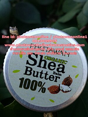 shea butter organic phutawan เชีย บัตเตอร์ ออแกนิค ภูตะวัน ขนาด 10 กรัม