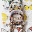 ++ Brown Zebra Jasper (Matte) - บราวน์ซีบร้าแจสเปอร์ แบบขัดด้าน เม็ดกลมขนาดประมาณ 8 มิล ++