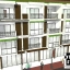 J305 อาคารพาณิชย์ 4 ชั้น 5-6 ห้องนอน 4 ห้องน้ำ