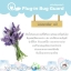 ผลิตภัณฑ์ Plug-in Bug Guard เครื่องไล่ยุงชนิดน้ำจากธรรมชาติ 100 % ตัวช่วยไล่ยุงปราศจากสารเคมี รับรองว่าปลอดภัยกับเจ้าตัวน้อยของคุณแม่และทุกคนในครอบครัว ผ่านการทดสอบและรับรองตามมาตรฐาน อย. วอส.66/2559