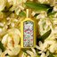 น้ำหอม Gucci Flora Gorgeous Orchid EDP