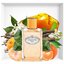 น้ำหอม Prada Infusion Mandarin EDP 100ml