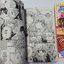 ความรักสีชมพู เล่ม 1-2 จบ