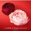 น้ำหอม Giorgio Armani Si Passione Eclat EDP