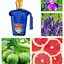 น้ำหอม Casamorati Mefisto by Xerjoff EDP 100ml