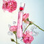น้ำหอม Kenzo Flower Poppy Bouquet EDP
