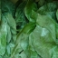 ใบทุเรียนเทศแห้ง คัดพิเศษ 100 กรัม (Air Dried Soursop Leaves 100 Grams )