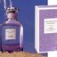 น้ำหอม Coach Dream Moonlight Edp