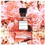น้ำหอม Dusita La Douceur de Siam EDP 50ml