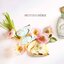 น้ำหอม Annick Goutal Petite Cherie EDP 100ml
