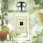 น้ำหอม Jo Malone English Pear and Freesia Cologne