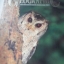 Advanced Thailand Geographic ฉบับที่ 40